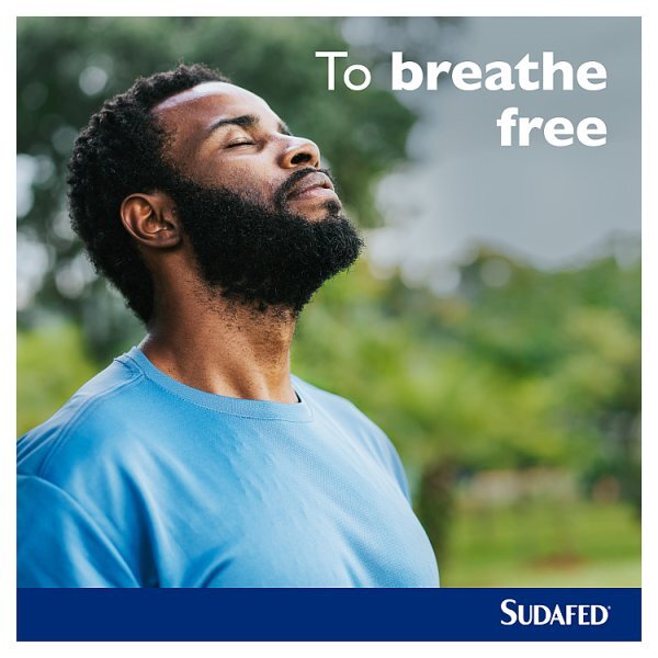 Sudafed Congestion/Headache Relief Day&Night