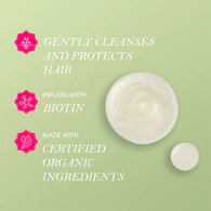 Mielle Organics Rosemary Mint Strength Shampoo