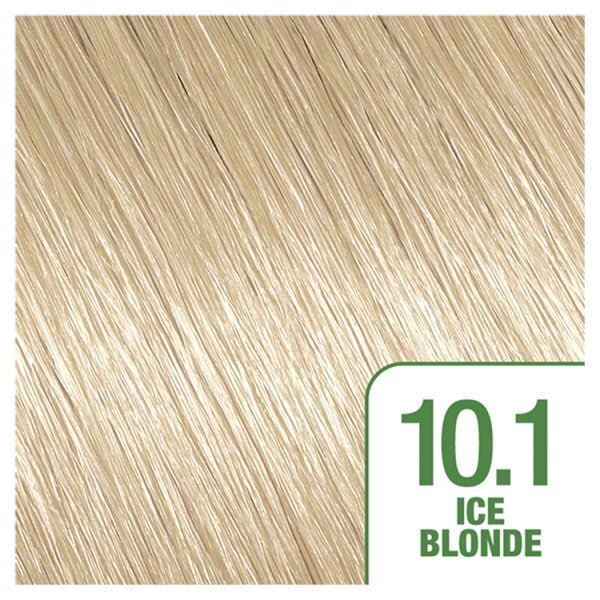 Garnier Nutrisse Permanent Hair Dye Ice Blonde 10.1