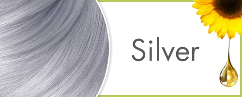 Garnier Olia Silver
